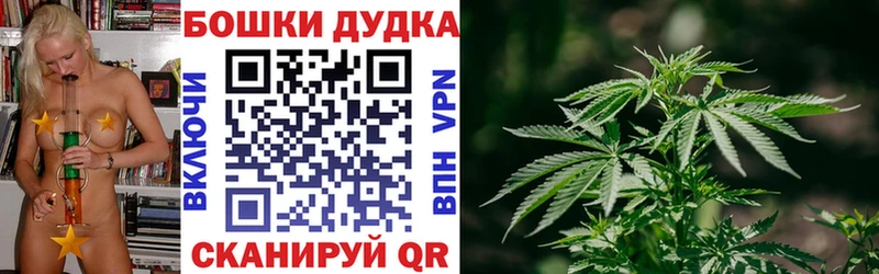 Бошки марихуана SATIVA & INDICA  Купить закладки  Орск 